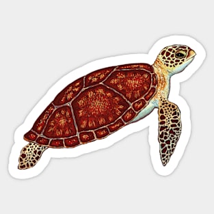 Turtle Sticker